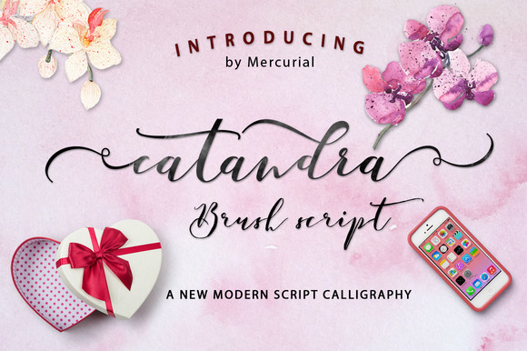 Catandra Script Script & Handwritten Font By Mercurial 1