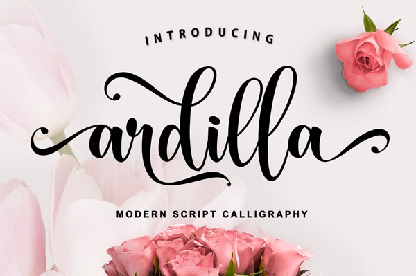 Ardilla Font  Script & Handwritten Font By Mercurial