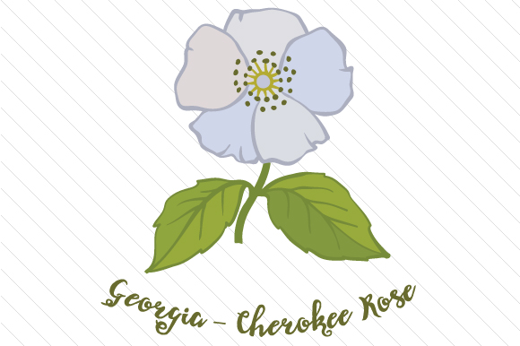 State Flower: Georgia Cherokee Rose State Flowers Craft Cut File By Creative Fabrica Crafts