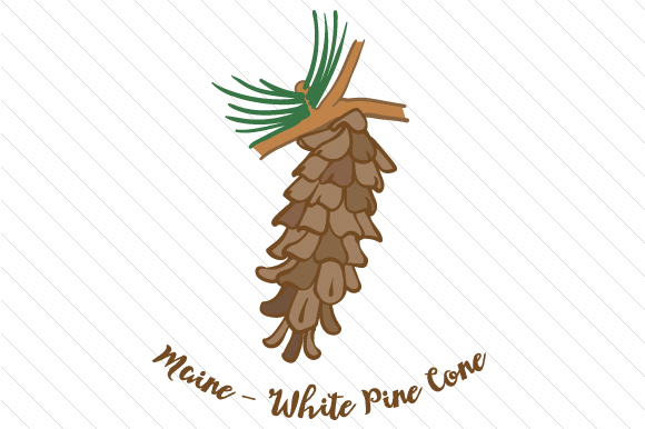State Flower: Maine White Pine Cone State Flowers Craft Cut File By Creative Fabrica Crafts