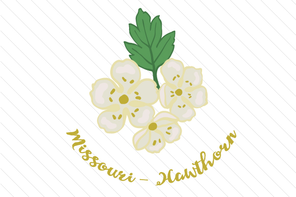 State Flower: Missouri Hawthorn State Flowers File creazione per il taglio Di Creative Fabrica Crafts