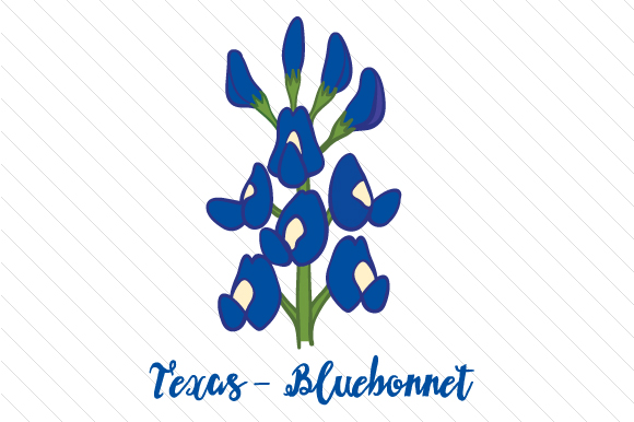 State Flower: Texas Bluebonnet State Flowers Fichier de Découpe pour les Loisirs créatifs Par Creative Fabrica Crafts