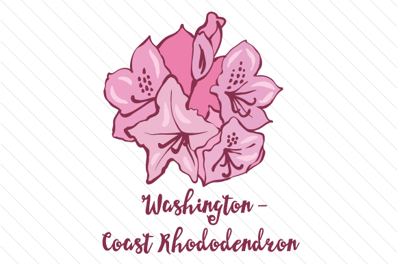 State Flower: Washington Coast Rhododendron State Flowers Fichier de Découpe pour les Loisirs créatifs Par Creative Fabrica Crafts 1