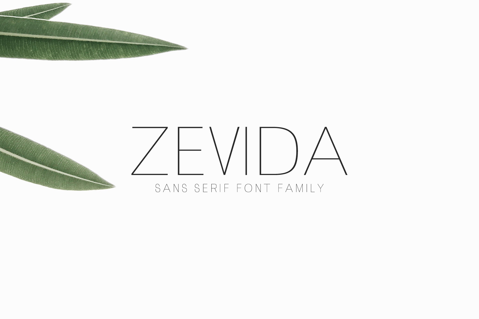 Zevida Sans Serif Font By Creative Tacos