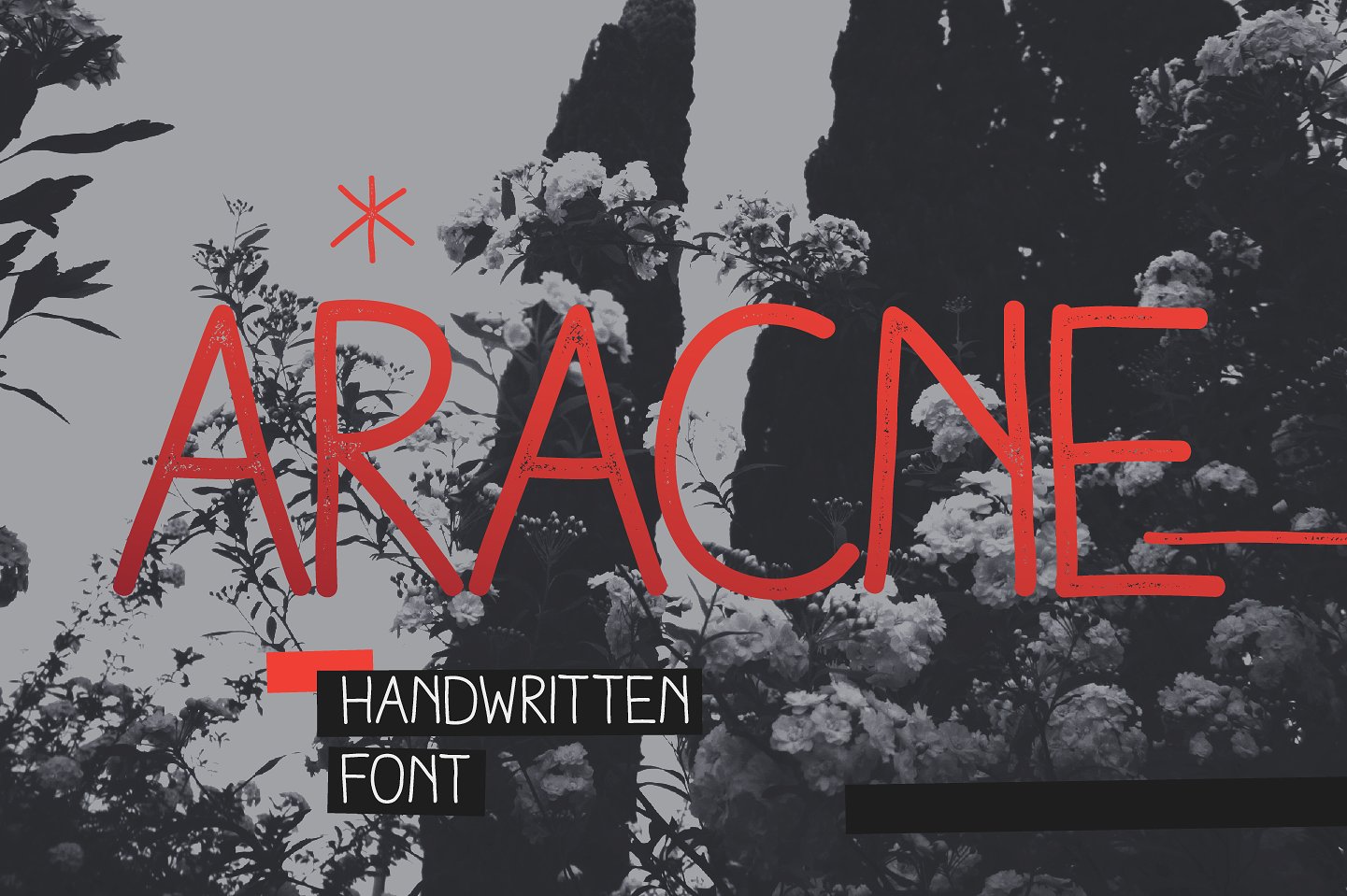 Aracne Script & Handwritten Font By antipixel