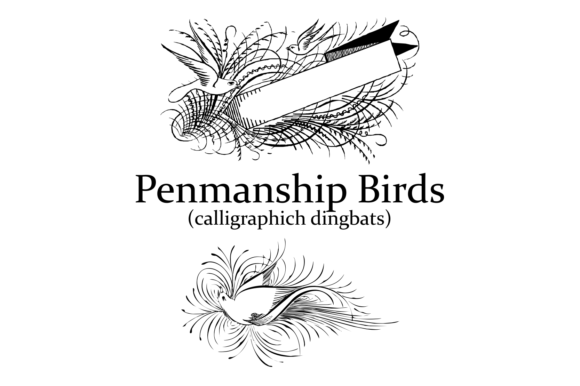 Penmanship Birds Dingbats Font By Intellecta Design