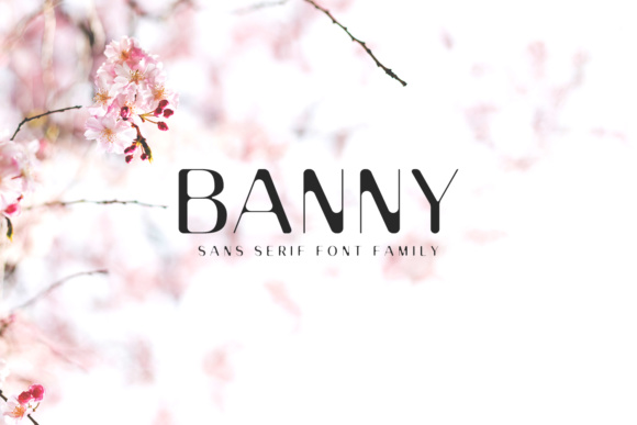 Banny Sans Serif Family Sans Serif Font By Creative Tacos