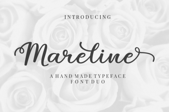 Mareline Duo Script & Handwritten Font By Megatype
