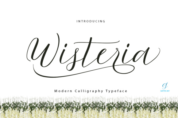 Wisteria Script Script & Handwritten Font By gatype