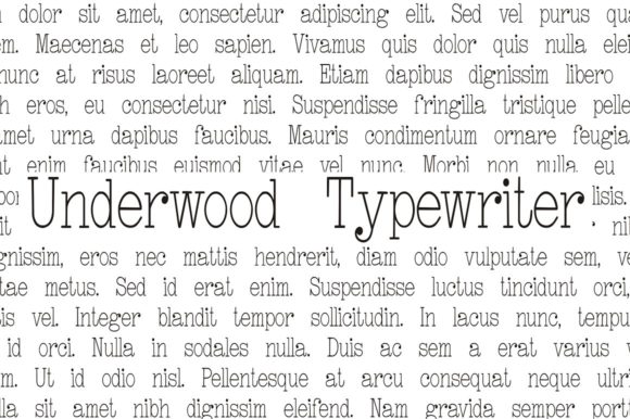 Underwood Typewriter Serif Font By Intellecta Design
