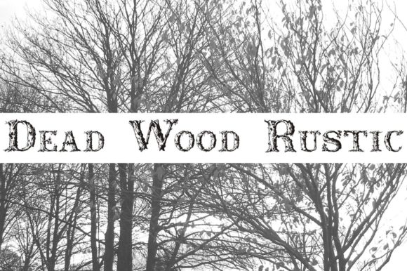 Dead Wood Rustic Display Font By Intellecta Design