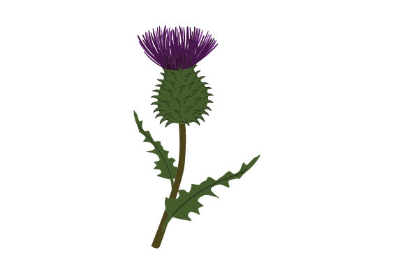 Realistic Thistle Scotland Craft Cut File By Creative Fabrica Crafts