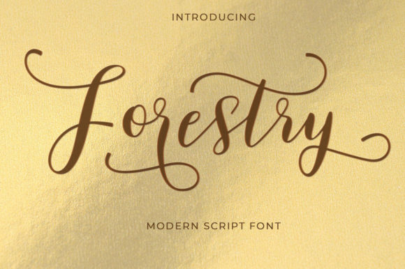 Forestry Font Corsivi Font Di typehill