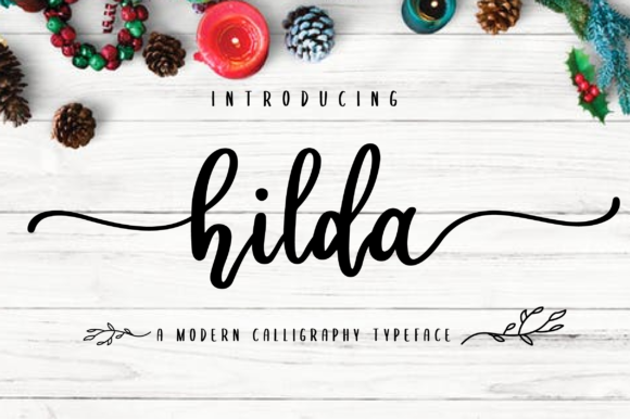 Hilda Script & Handwritten Font By fanastudio