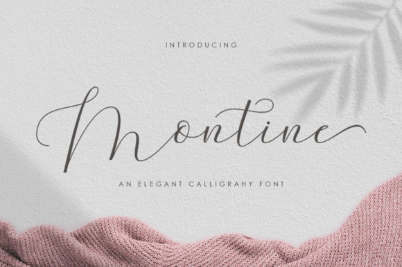 Montine Script Script & Handwritten Font By gatype