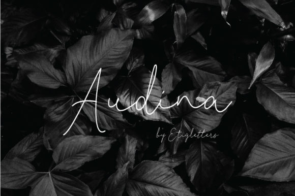 Audina Script & Handwritten Font By etigletters