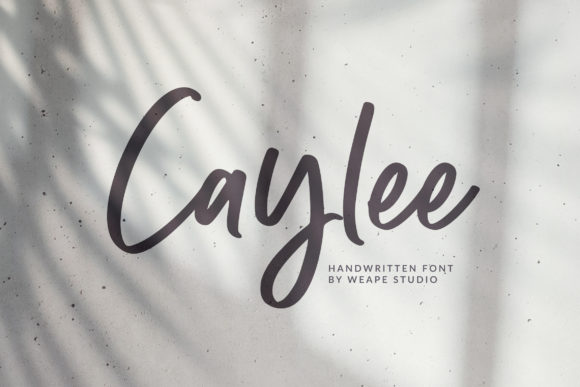 Caylee Script Script & Handwritten Font By Weape Design