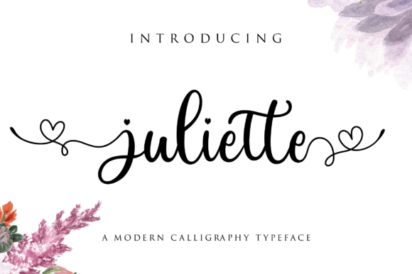 Juliette Script & Handwritten Font By fanastudio