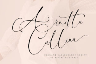Arnitta Callina Script & Handwritten Font By Mercurial 1