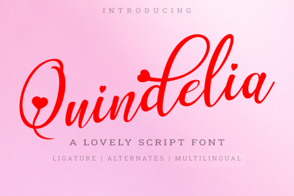 Quindelia Script Fonts Font Door OCS Studio
