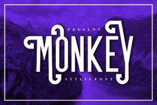 Monkey Sans Serif Font By Musafir LAB 13