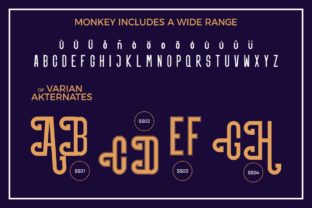 Monkey Sans Serif Font By Musafir LAB 7