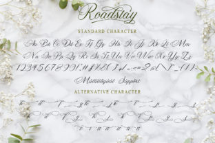 Roadstay Script & Handwritten Font By Doehantz Studio 8