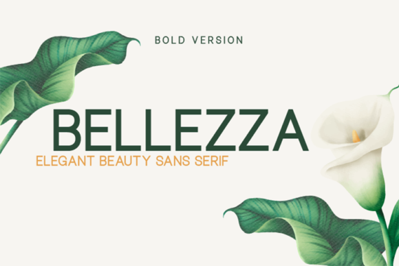 Bellezza Bold Sans Serif Font By Huntype