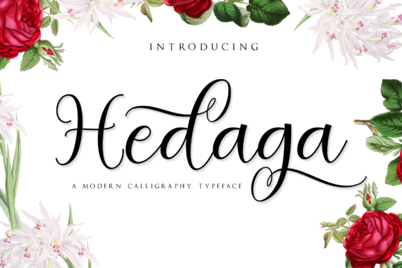 Hedaga Script & Handwritten Font By fanastudio