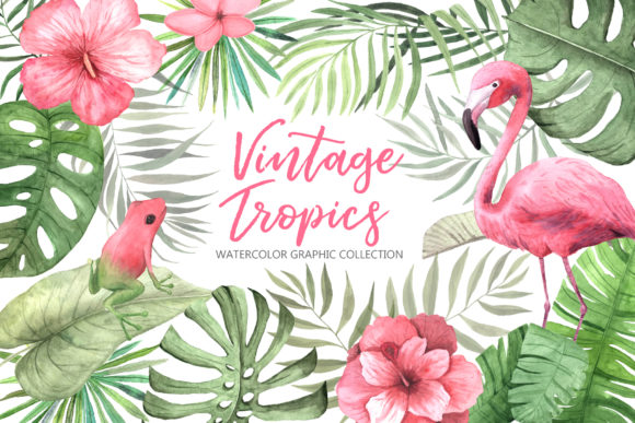 Watercolor Vintage Tropical Set Graphic Illustrations By Larysa Zabrotskaya