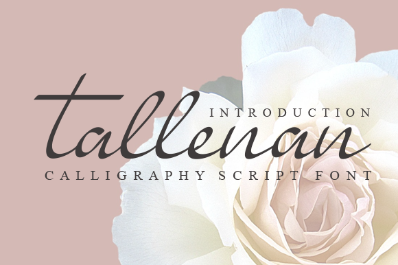 Tallenan Script & Handwritten Font By andikastudio