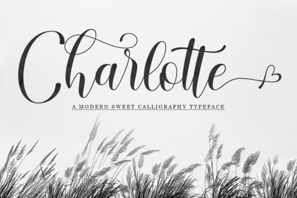 Charlotte Script & Handwritten Font By Black Studio
