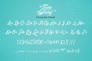 Fine Spring Script & Handwritten Font By attypestudio 7