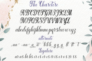 Nattalia Script & Handwritten Font By MYdesign 11