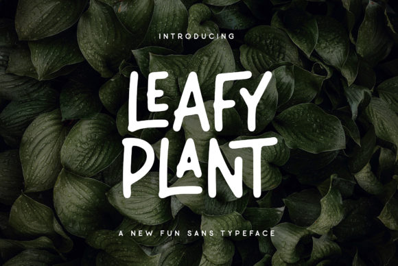 Leafy Plant Font Display Font Di Wandery Supply
