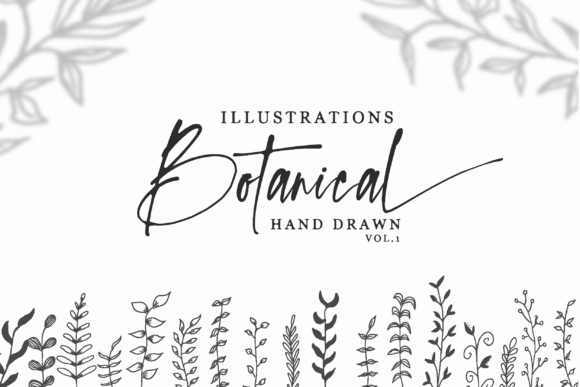 Hand Drawn Botanical Illustrations Vol.1 Grafik Druckbare Illustrationen Von Silverdav
