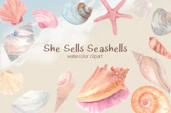 Pastel Seashells Watercolor Clipart Set Graphic Illustrations By roselocket