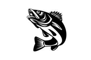 Walleye Fish Jumping Isolated Black Graphic Illustrations By patrimonio