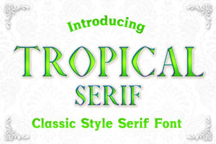 Tropical Serif Fonts Font Door numnim 1