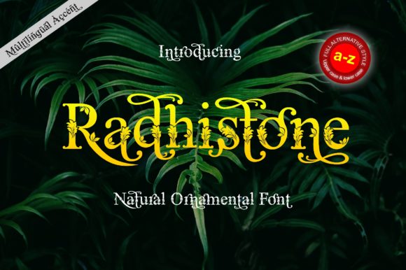 Radhistone Serif Font By ZetDesign