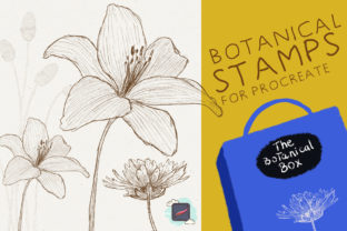 The Procreate Botanical Box Graphic Brushes By Just Bia 1