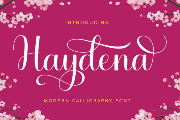 Haydena Script & Handwritten Font By gatype