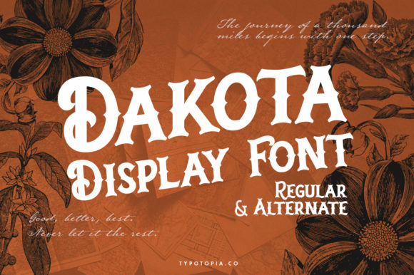 Dakota Font Display Font Di typotopia