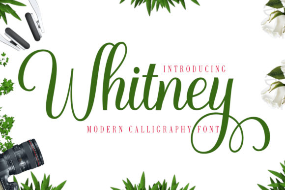 Whitney Script & Handwritten Font By gatype