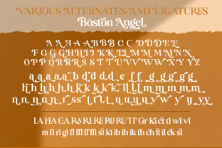 Boston Angel Display Font By Great Studio 15