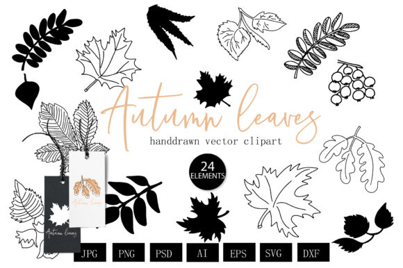 Autumn Leaves Botanical Lineart  Graphic Illustrations By LetsArtShop