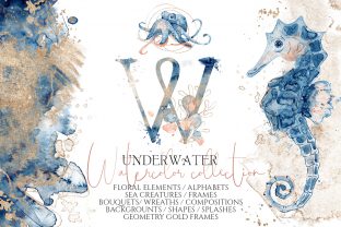 Underwater Watercolor Collection Graphic Illustrations By EvgeniiasArt 1