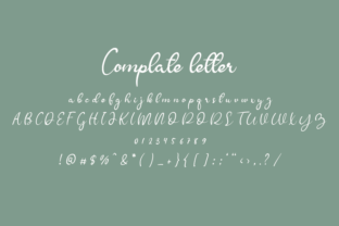 Butnerfly Script & Handwritten Font By andikastudio 4