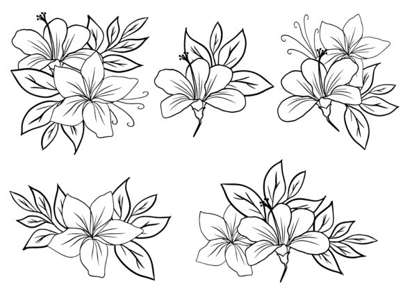 Flowers Line Art Arrangements Gráfico Ilustraciones Imprimibles Por PurMoon