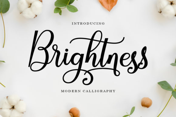 Brightness Script & Handwritten Font By Black Studio